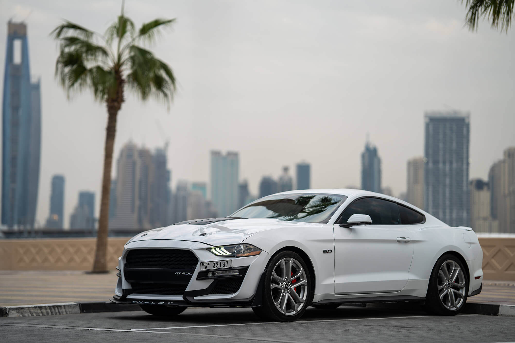 Rent Ford Mustang Gt White In Dubai Sportscars Octane Luxury Car