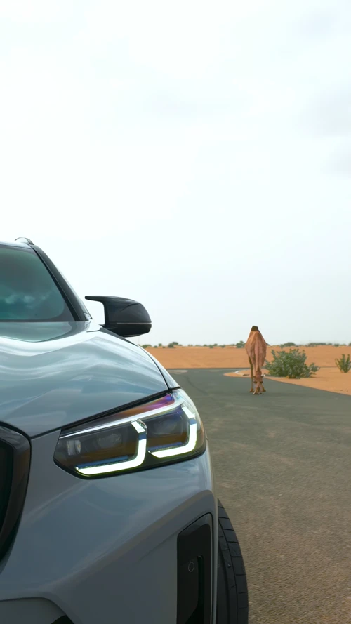 bmw-x4-m-competition-gris