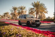 梅赛德斯 G63 AMG 米色 g63 AMG 米色