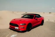 Ford Mustang Rot Ford Mustang Rot