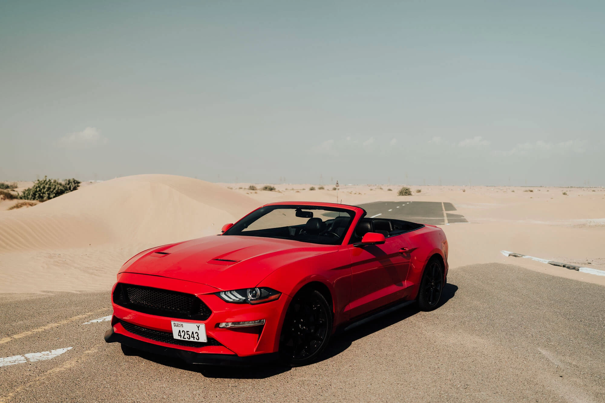 Ford Mustang (red)