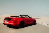 Ford Mustang Rot Ford Mustang Rot
