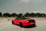 Ford Mustang Rot Ford Mustang Rot