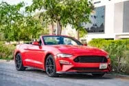Ford Mustang Rot Ford Mustang Rot