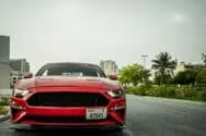 Ford Mustang Rot Ford Mustang Rot