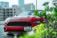 Ford Mustang Rojo