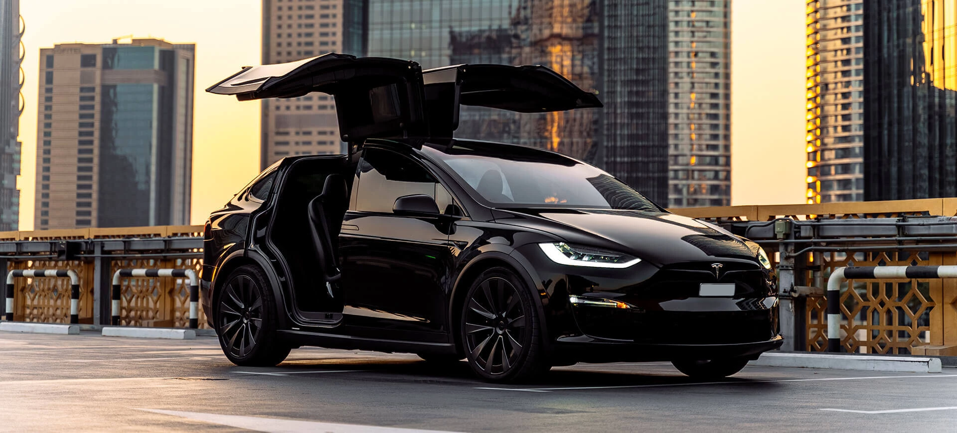 Плед Tesla Model X