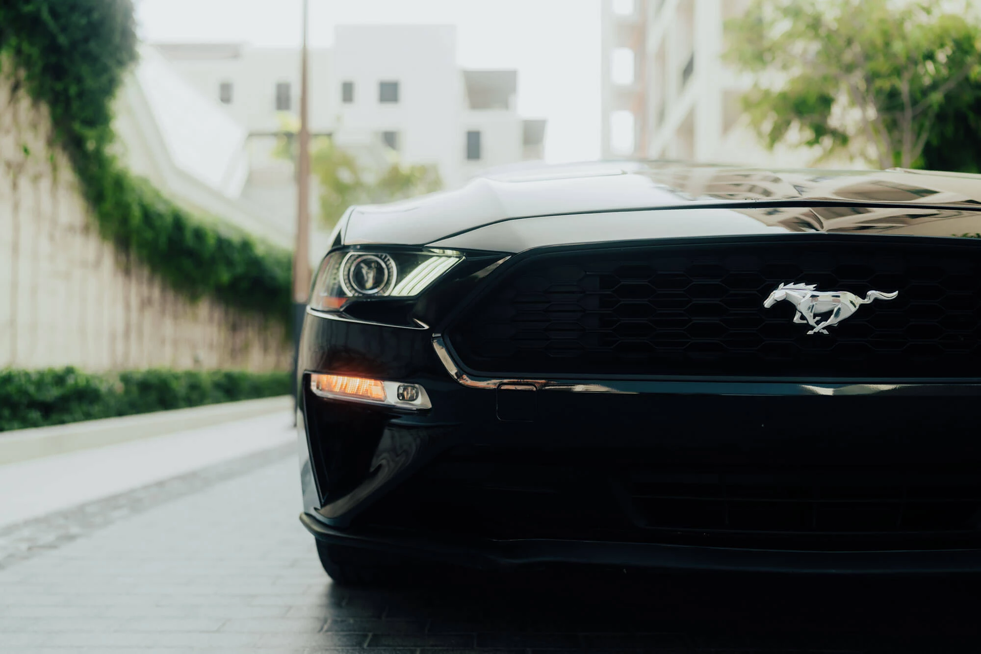 Ford Mustang 2021 Schwarz
