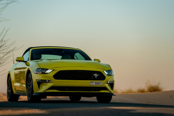 Mustang Mustang