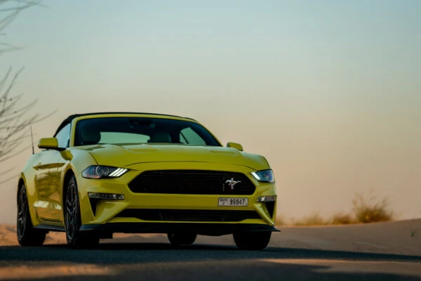 Mustang   Mustang