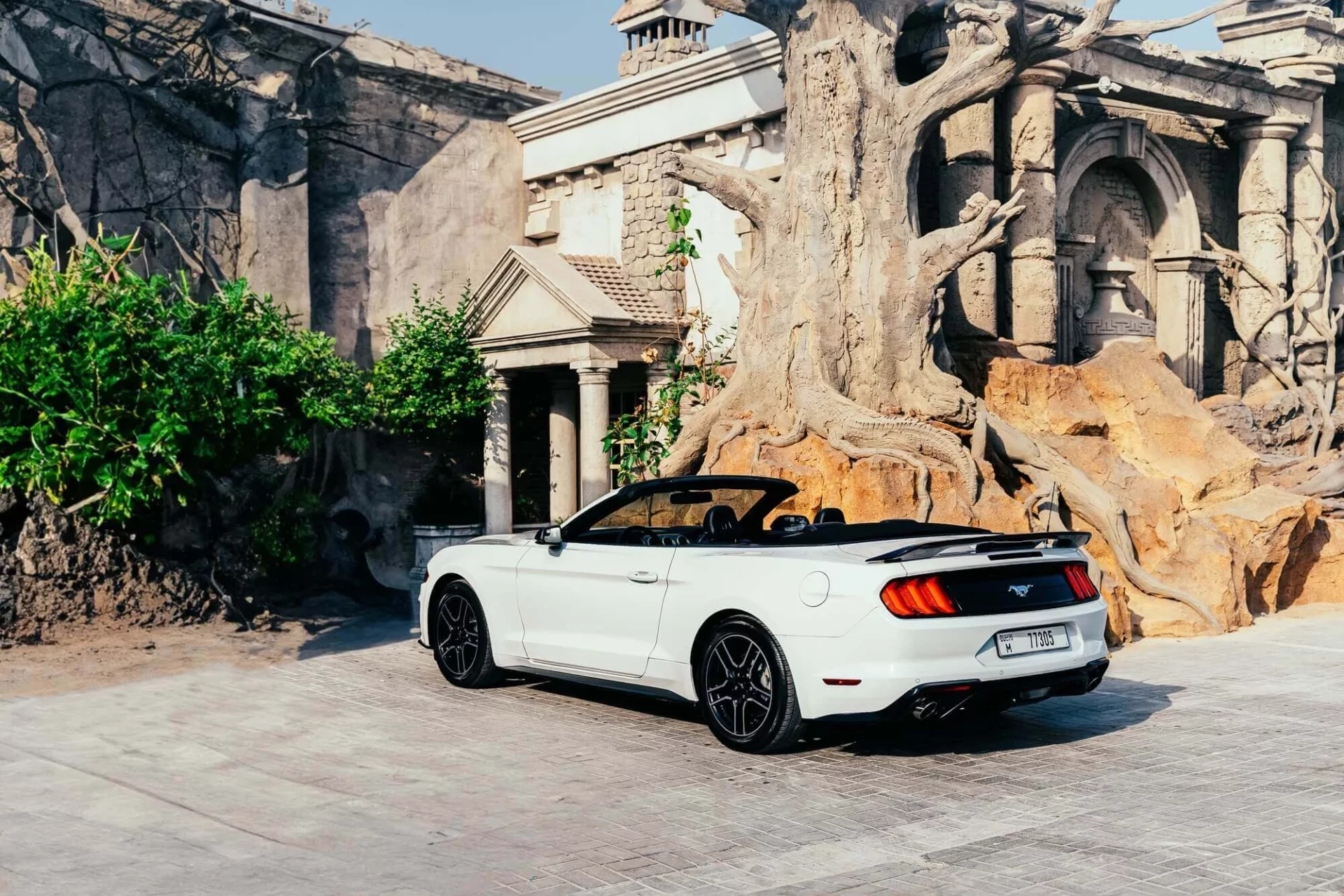 Ford Mustang Cabrio Wit