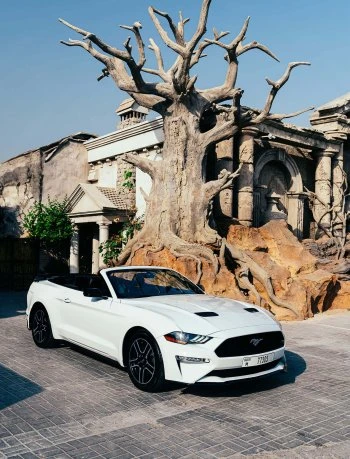 Ford Mustang Cabriolet Hvid