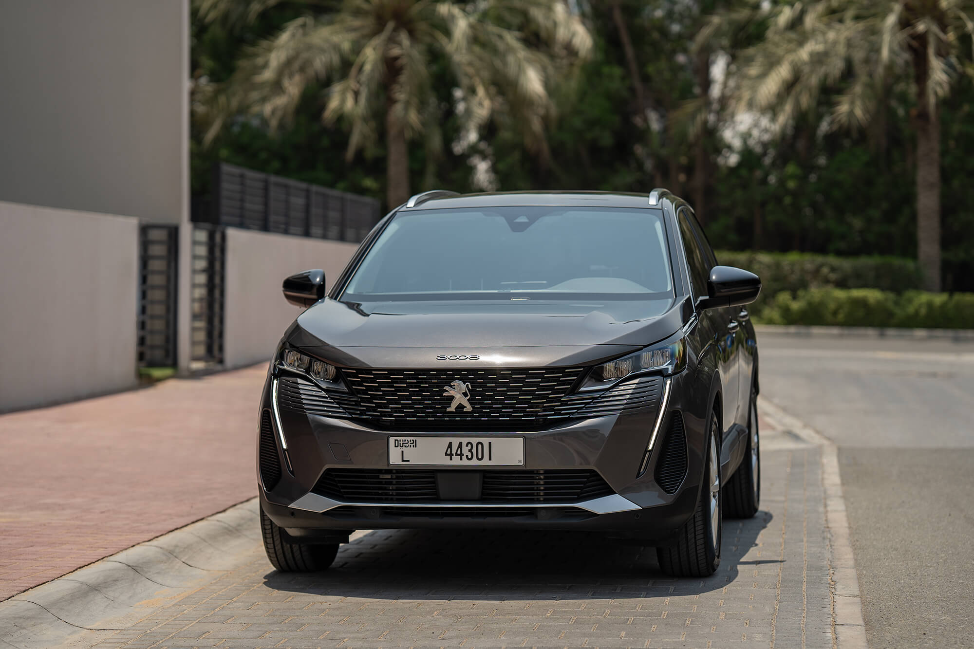 Peugeot 3008 Grey