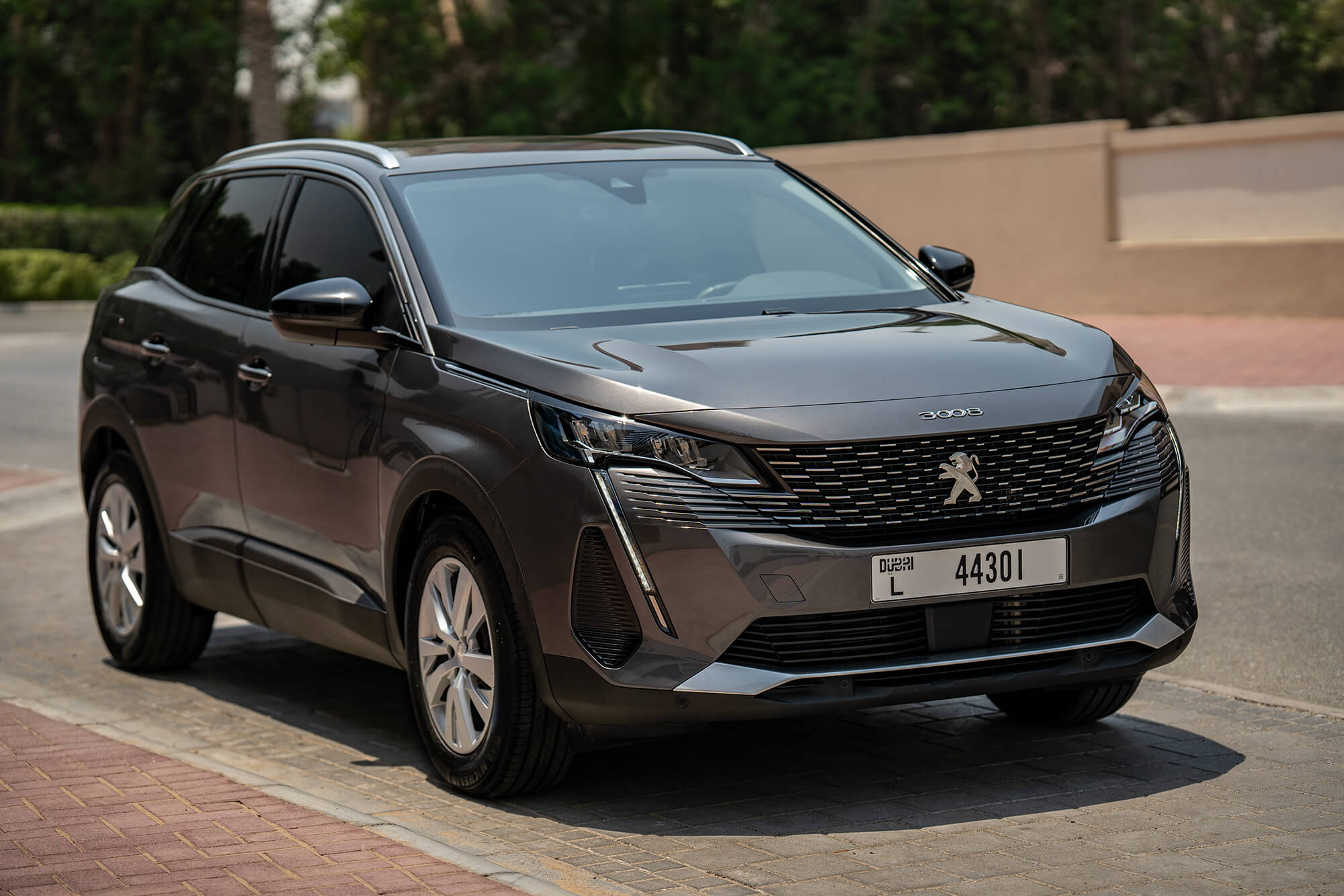 Peugeot 3008 Grey