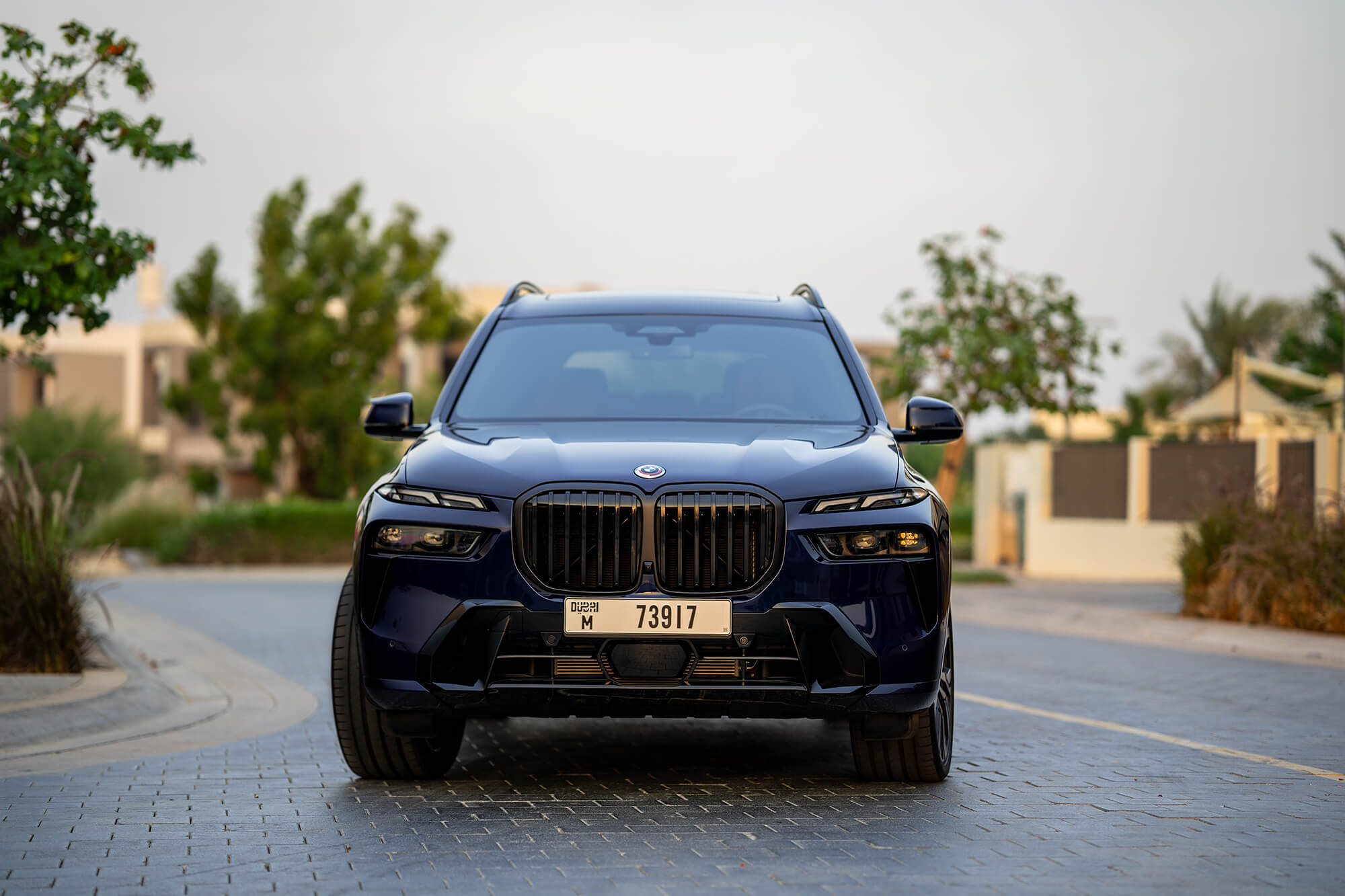 BMW X7 New Gen Dark Blue
