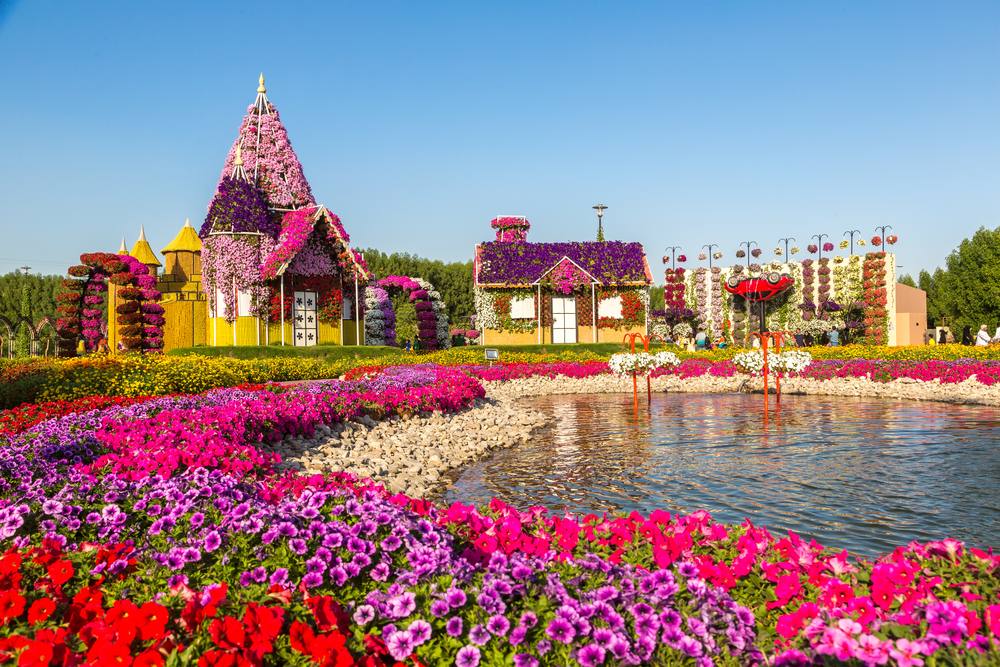 Jardin miraculeux de Dubaï avec plus de 45 millions de fleurs