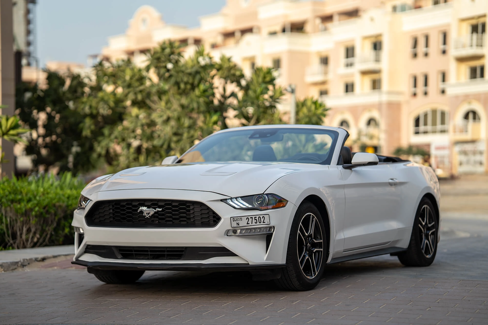 Ford Mustang hvid cabriolet
