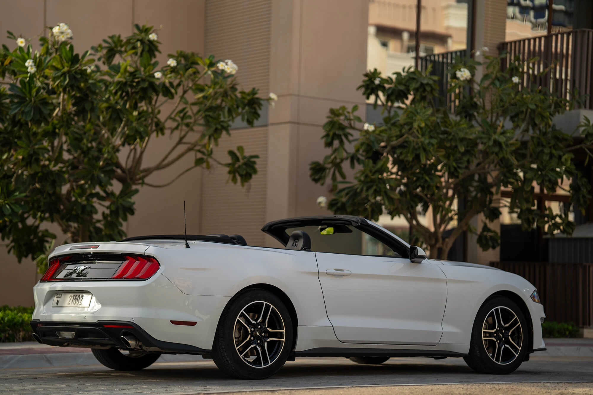 Ford Mustang Wit Cabrio