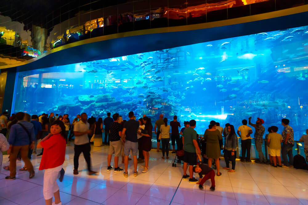 Le 20 cose da fare a Dubai di notte