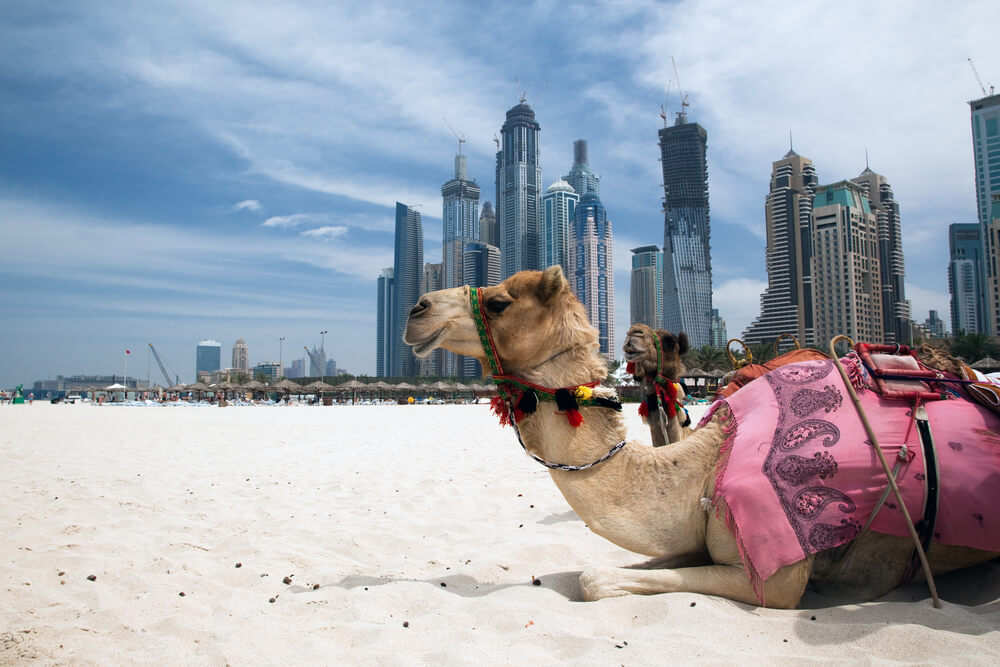 每位游客都应了解的迪拜法律