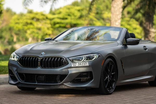 BMW M8   BMW M8