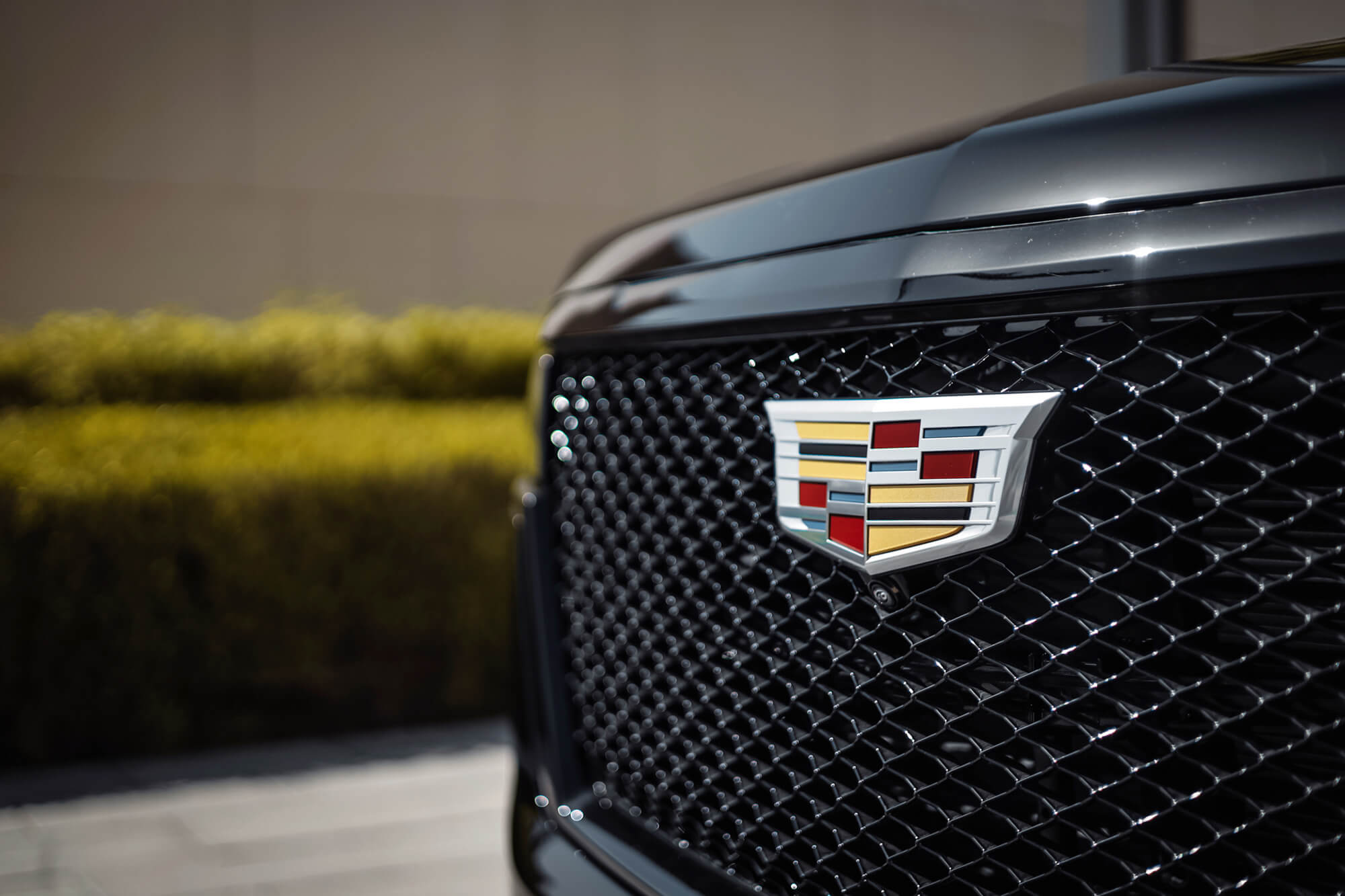 Cadillac Escalade Black