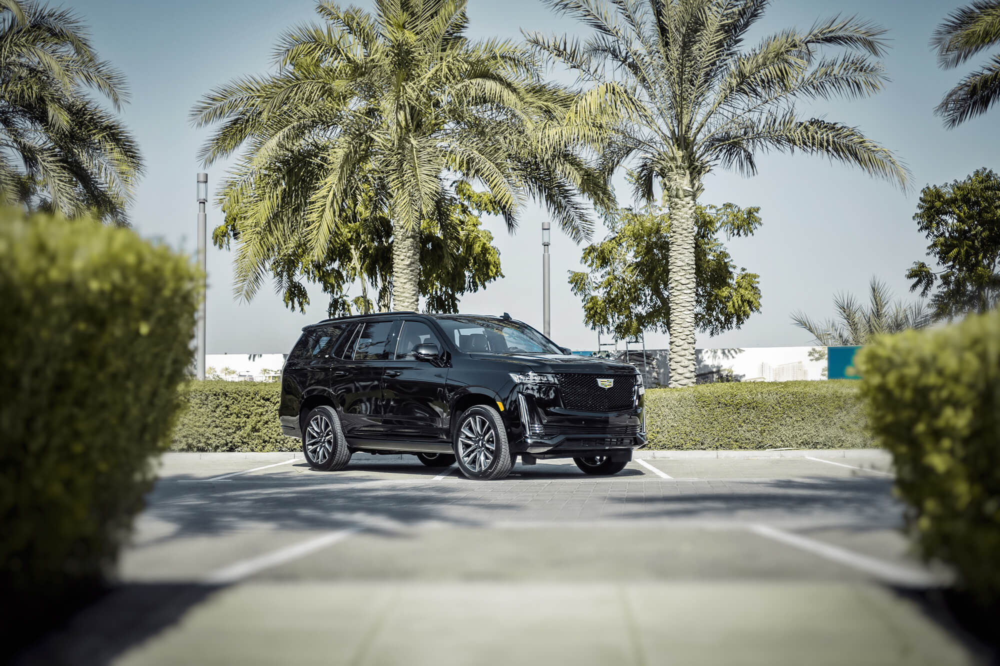 Cadillac Escalade Black