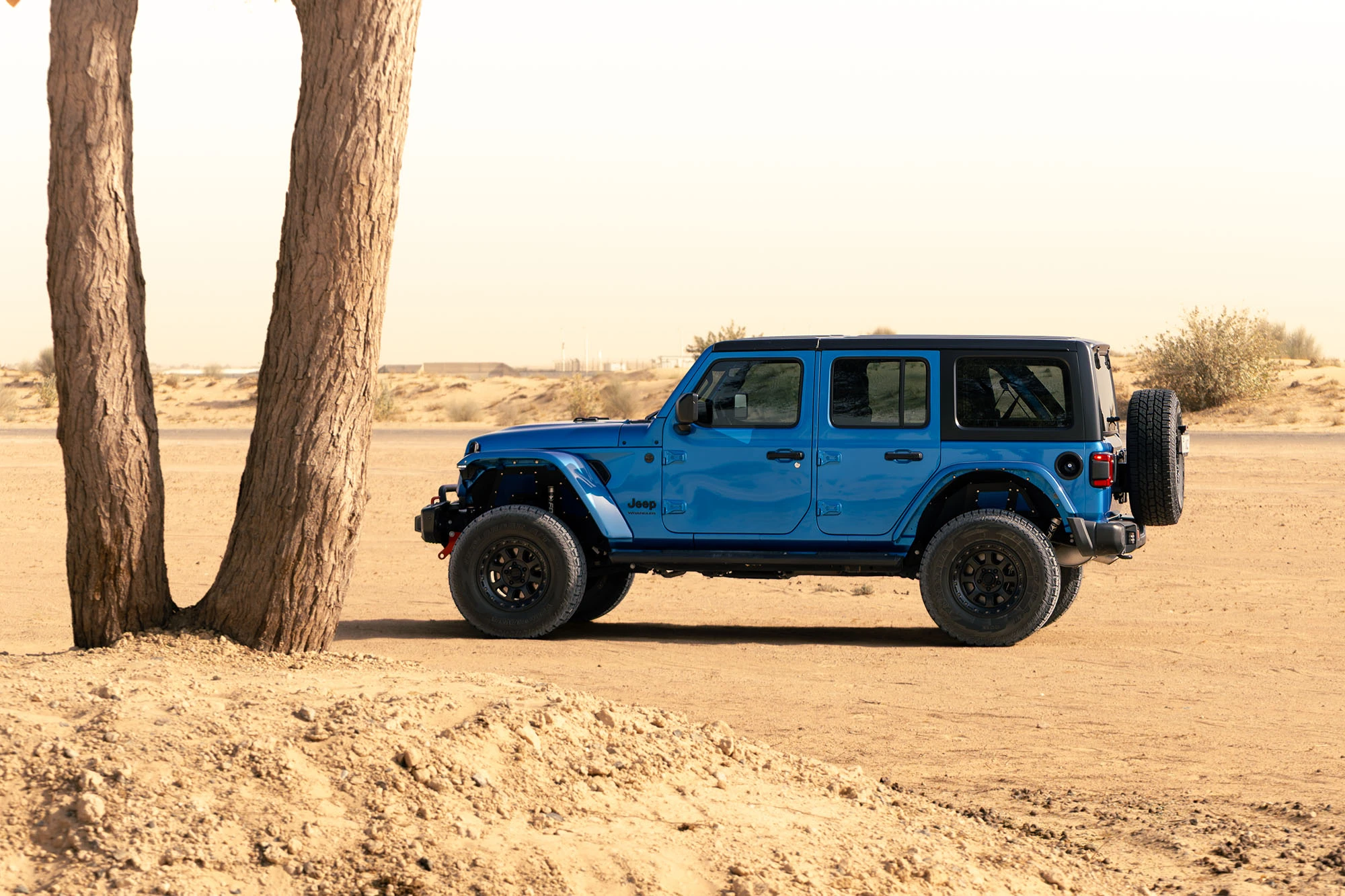 Jeep Wrangler כחול Jeep Wrangler כחול