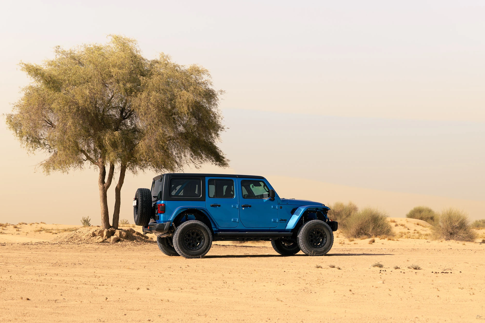Jeep Wrangler כחול Jeep Wrangler כחול