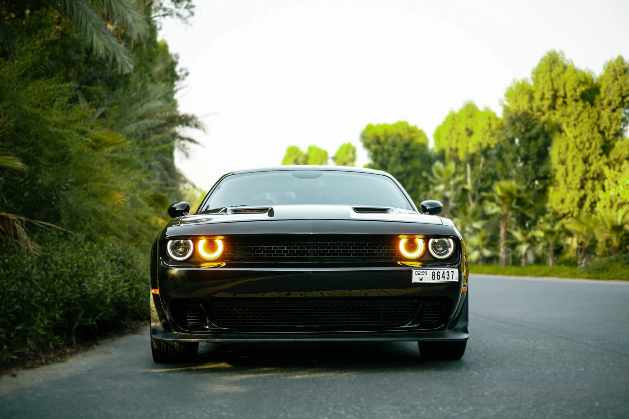 Dodge Challenger svart