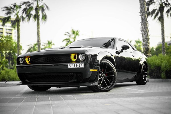 Dubai'de Dodge Challenger Black Kiralama - Octane.Rent