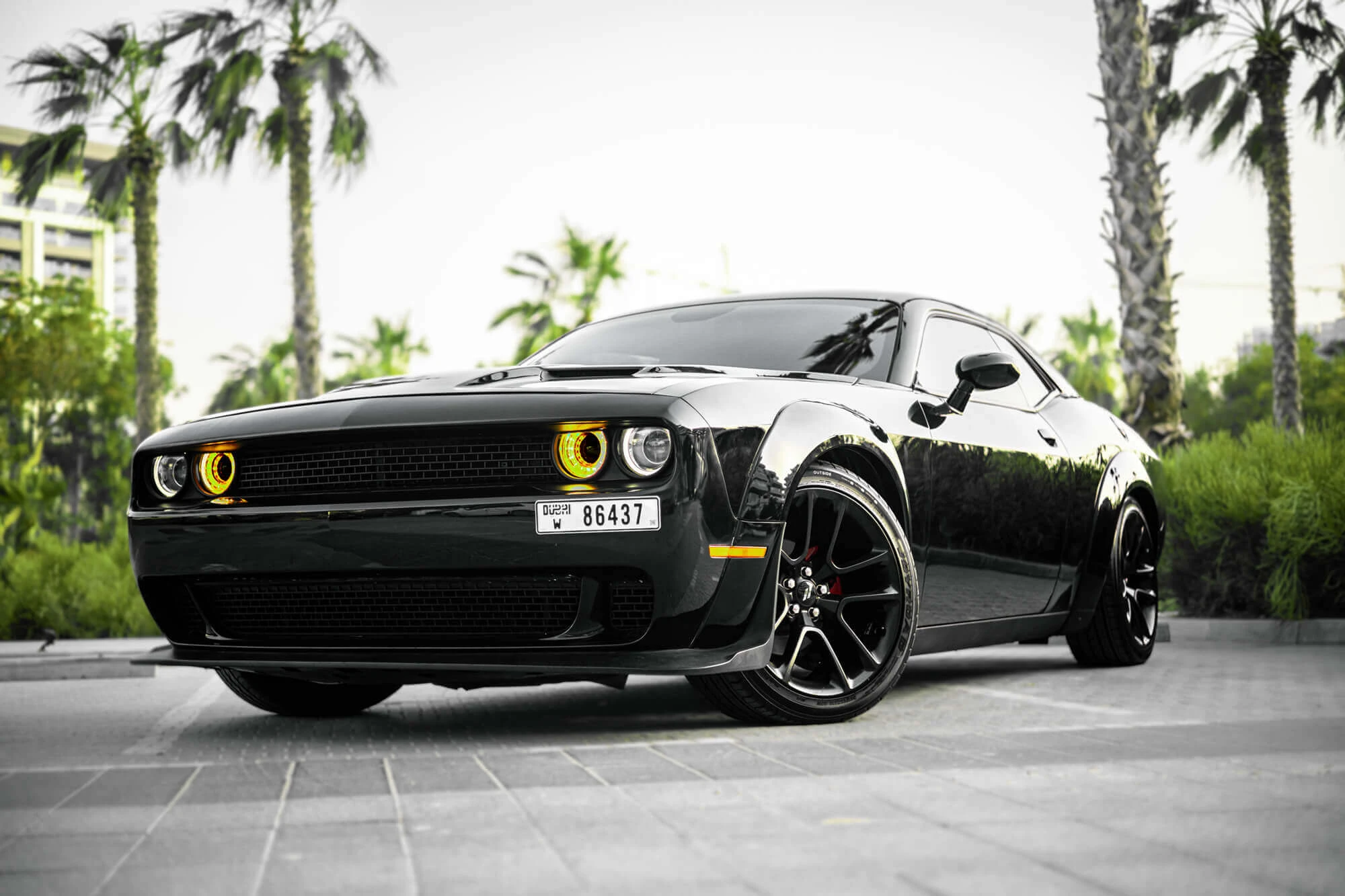 Dodge Challenger Siyah