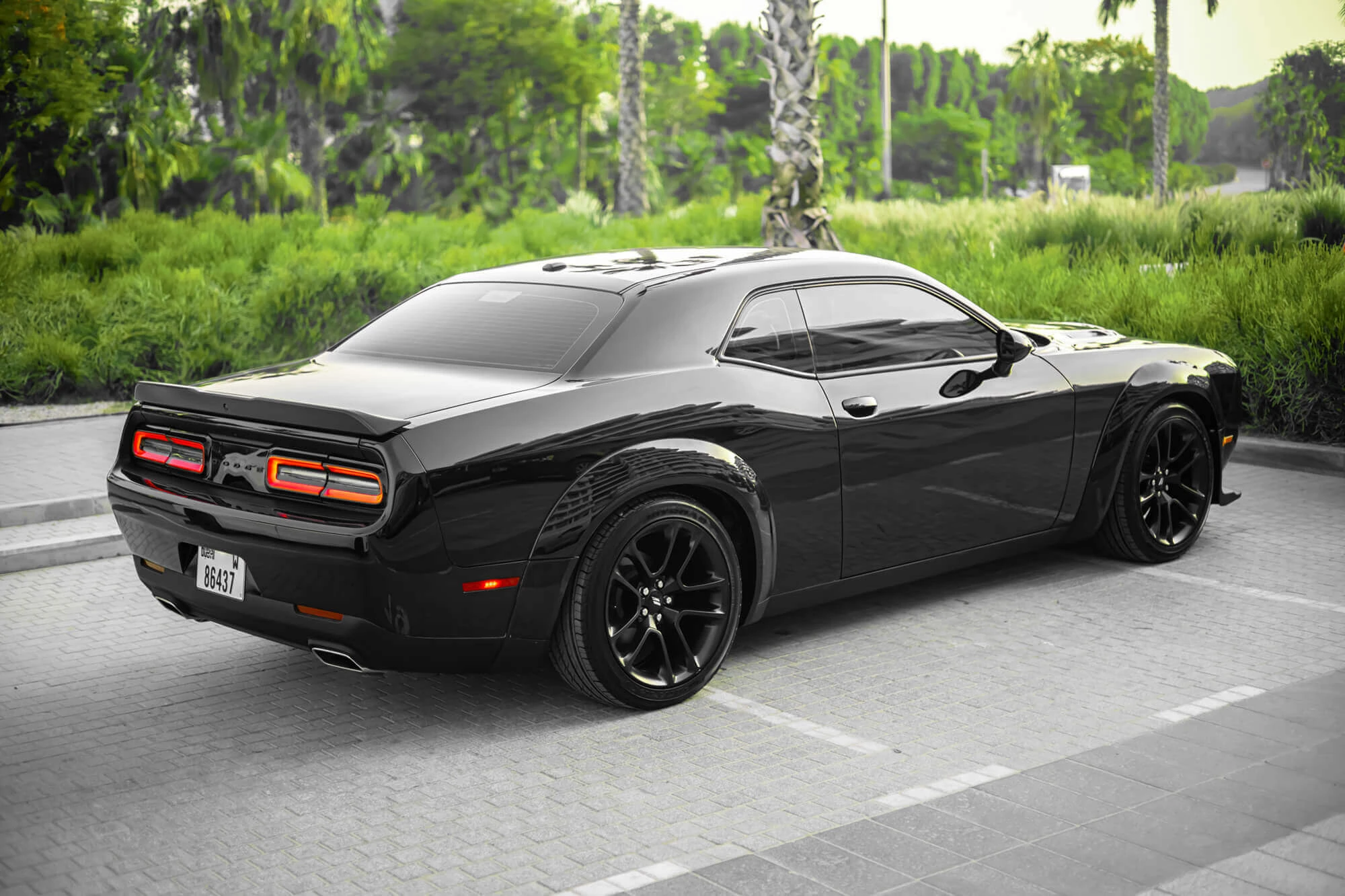 Dodge Challenger Black