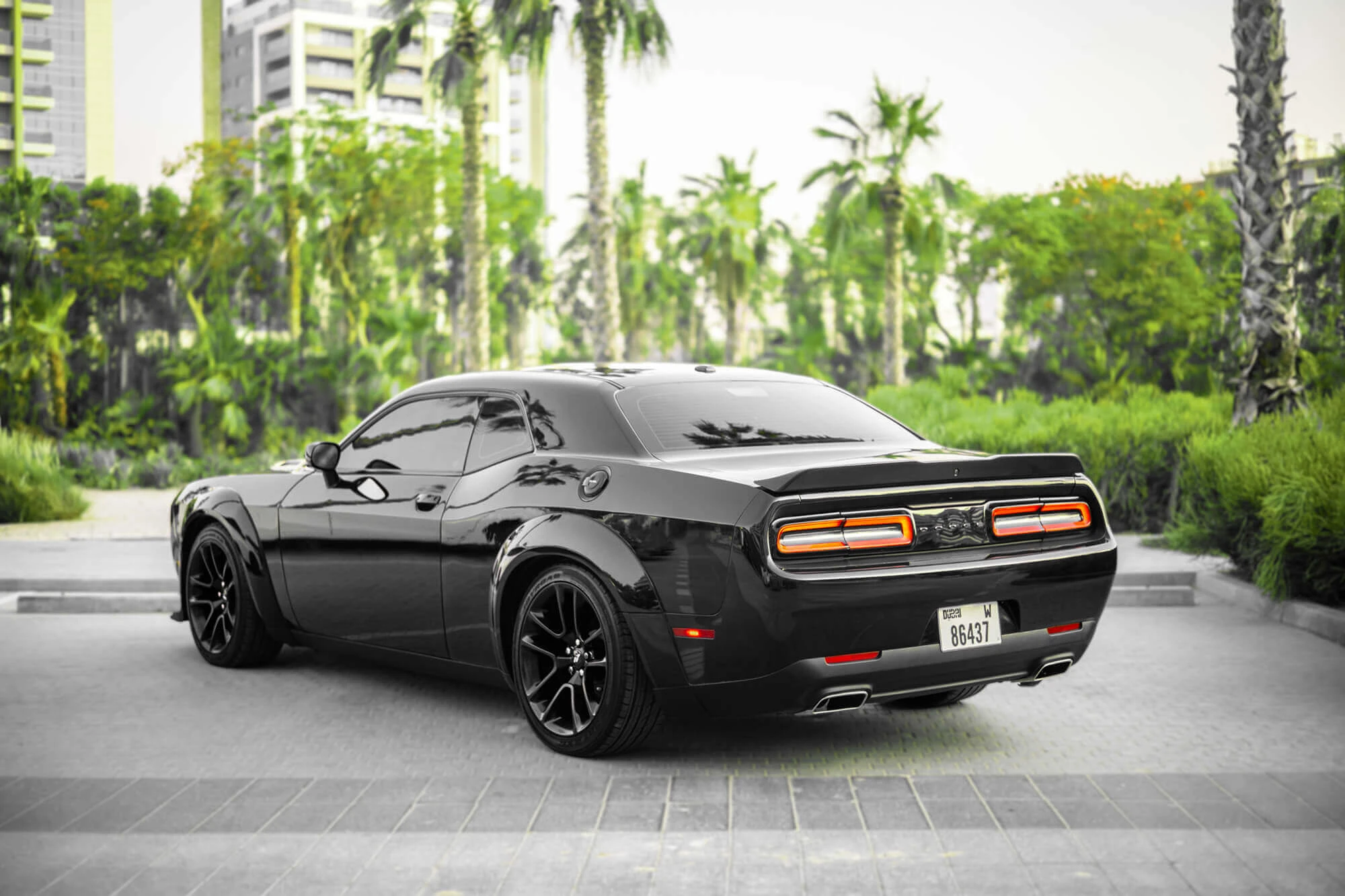 Dodge Challenger Siyah