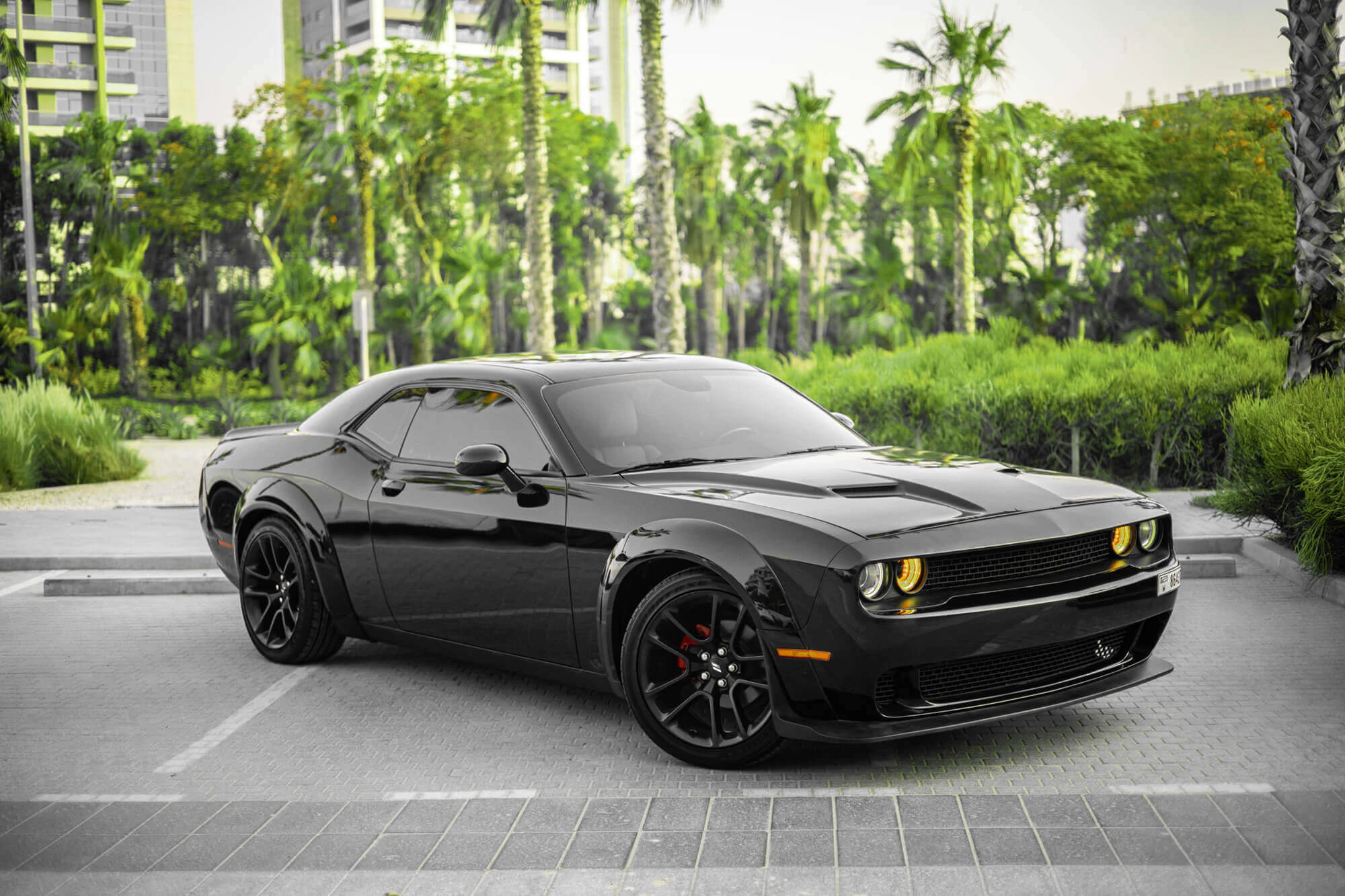 Dodge Challenger Black