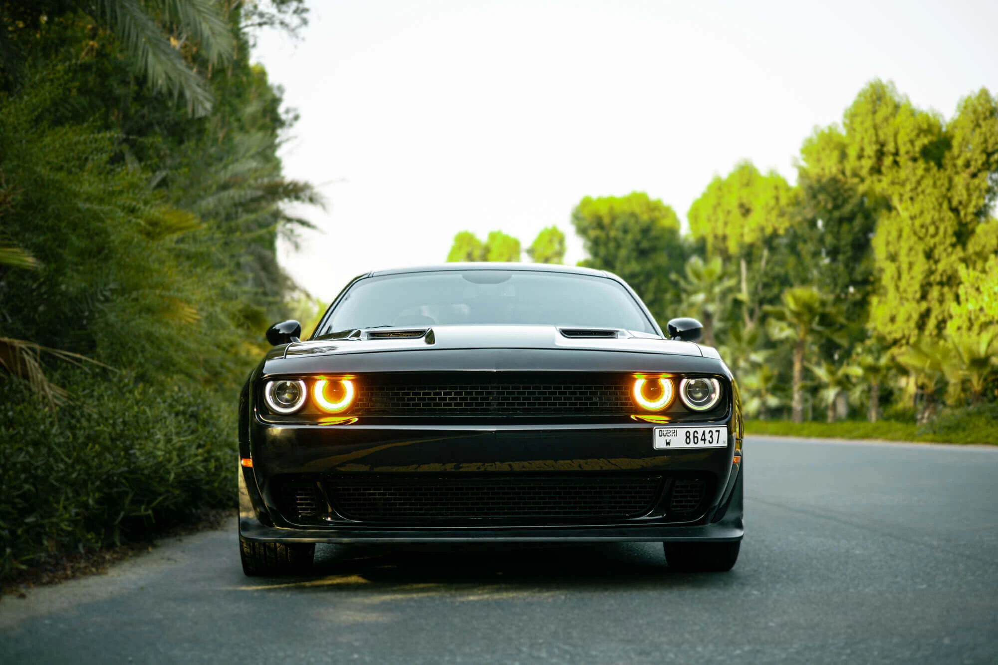 Dodge Challenger Siyah