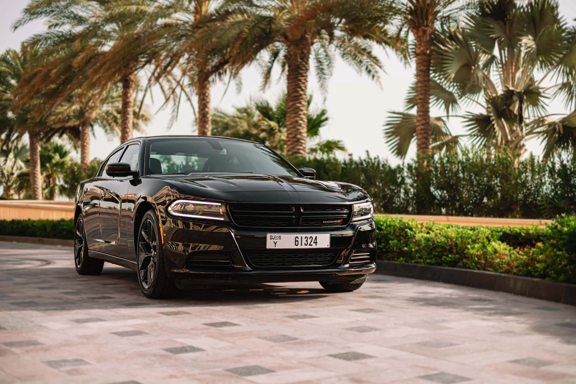 Dodge Charger Negro