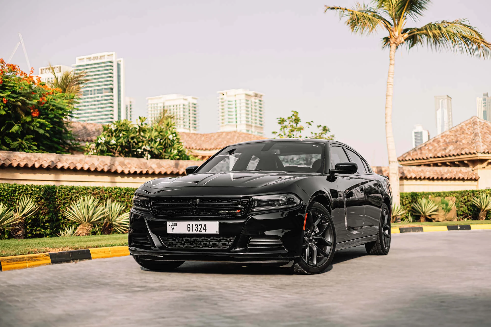 Dodge Charger sort