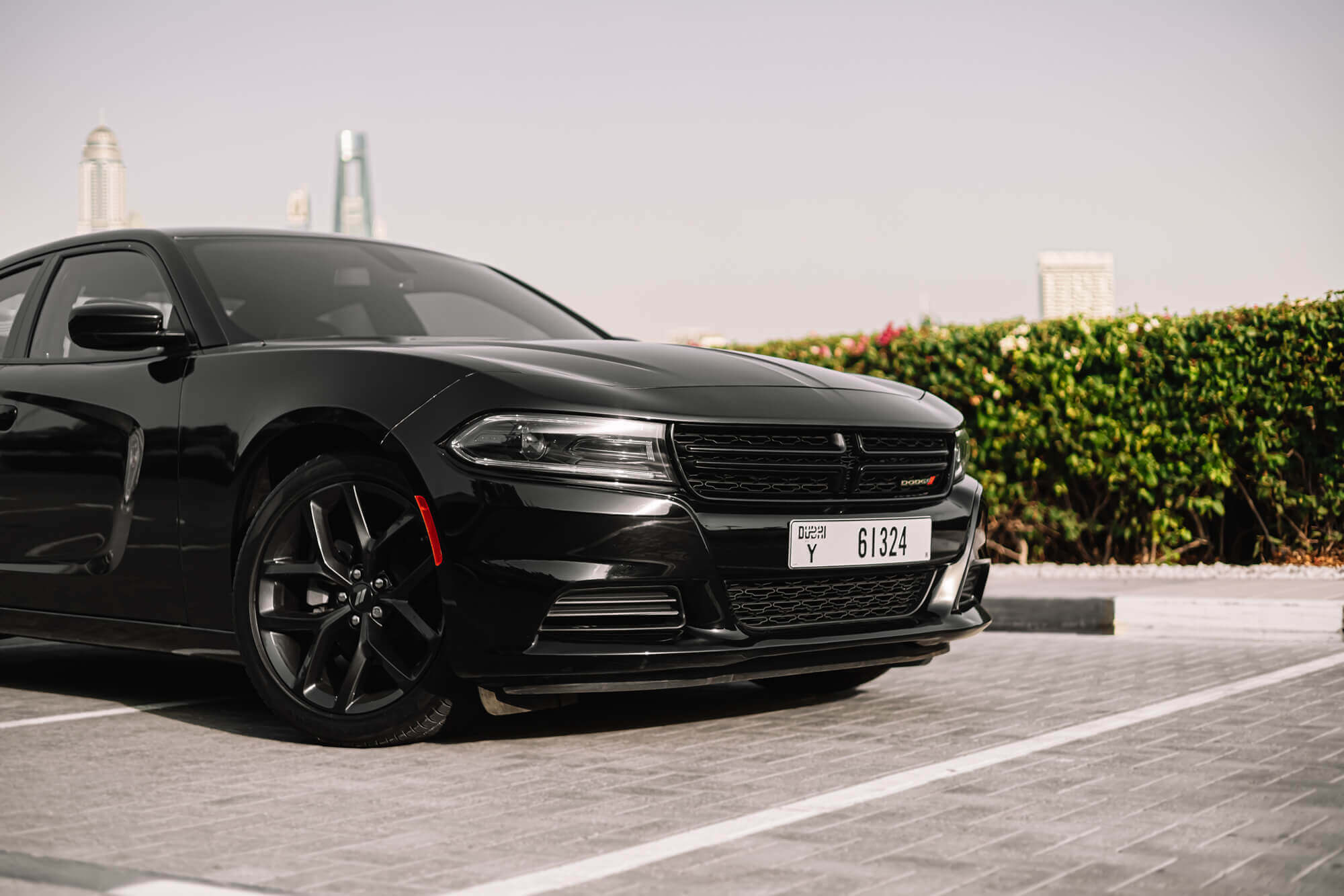 Dodge Charger Black