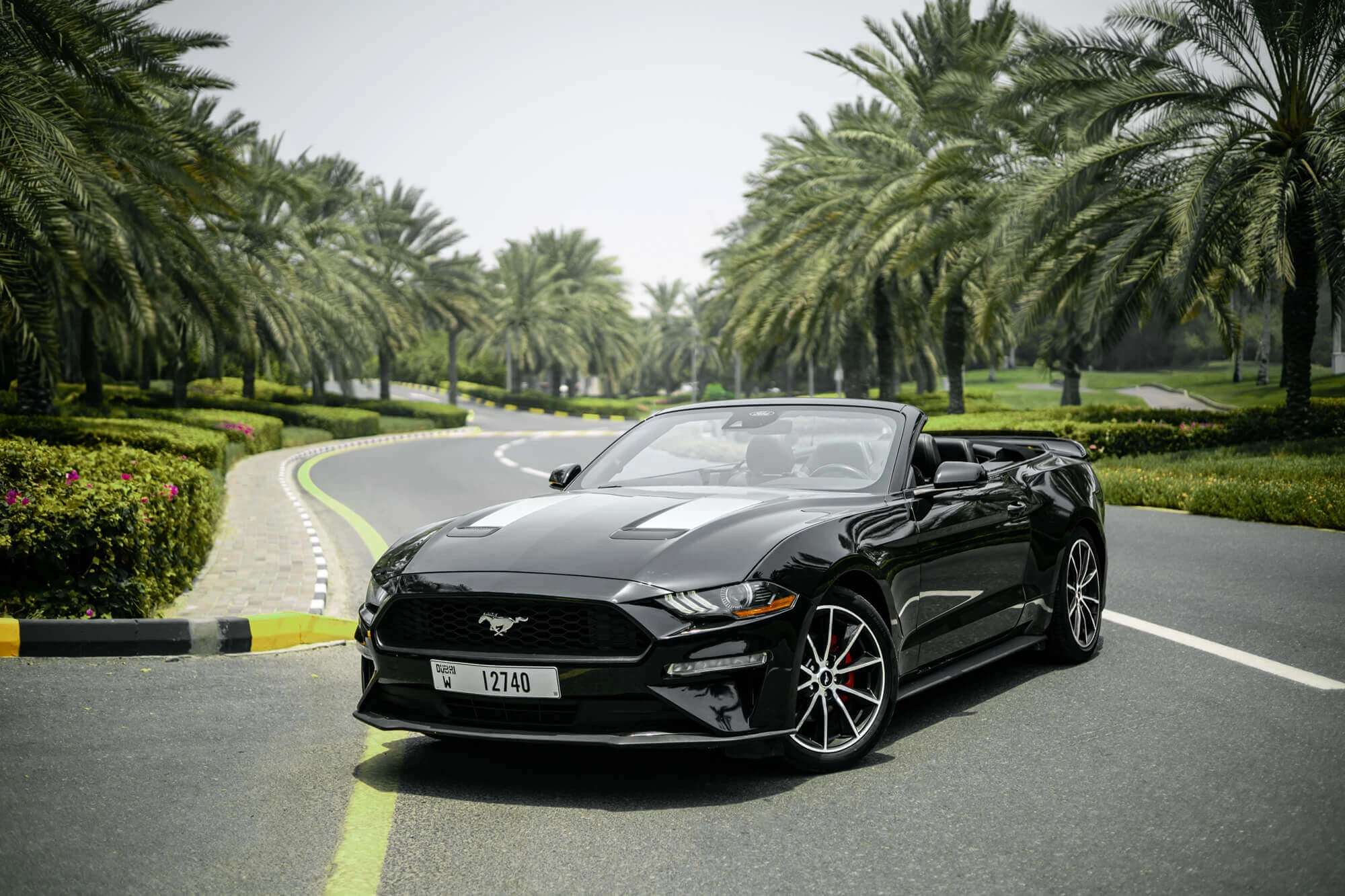 Ford Mustang Negro