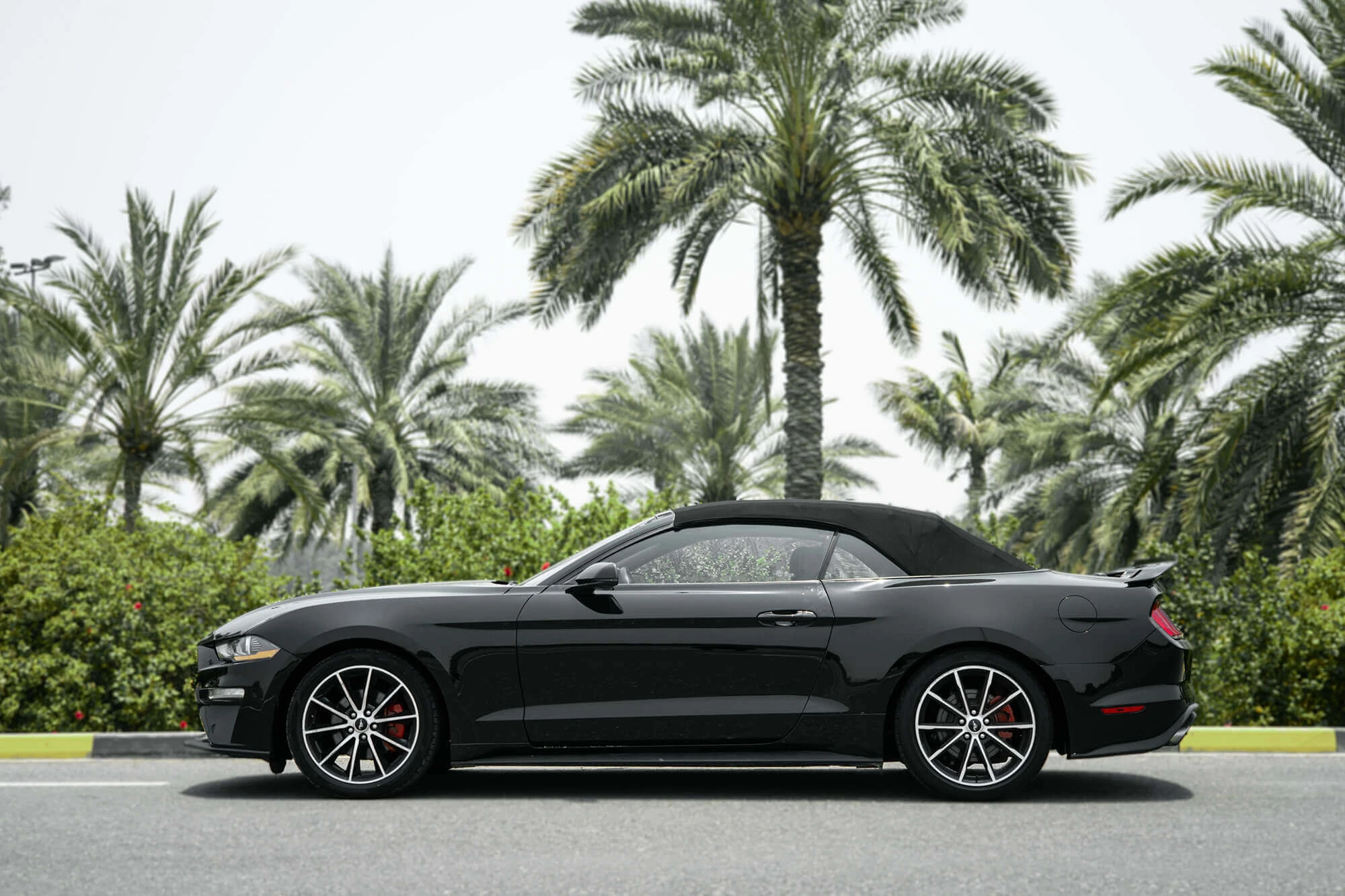 Ford Mustang Negro