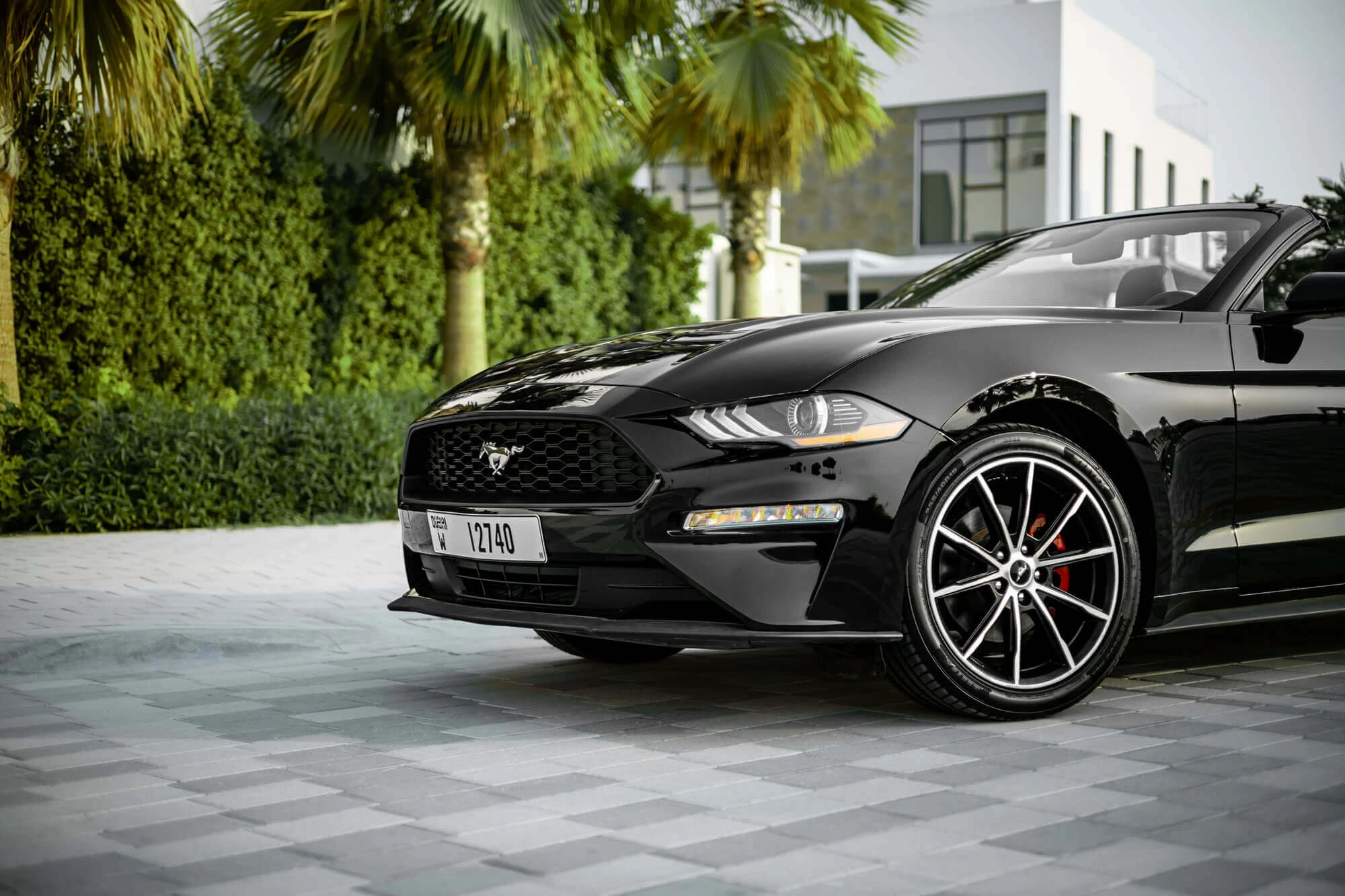 Ford Mustang Black