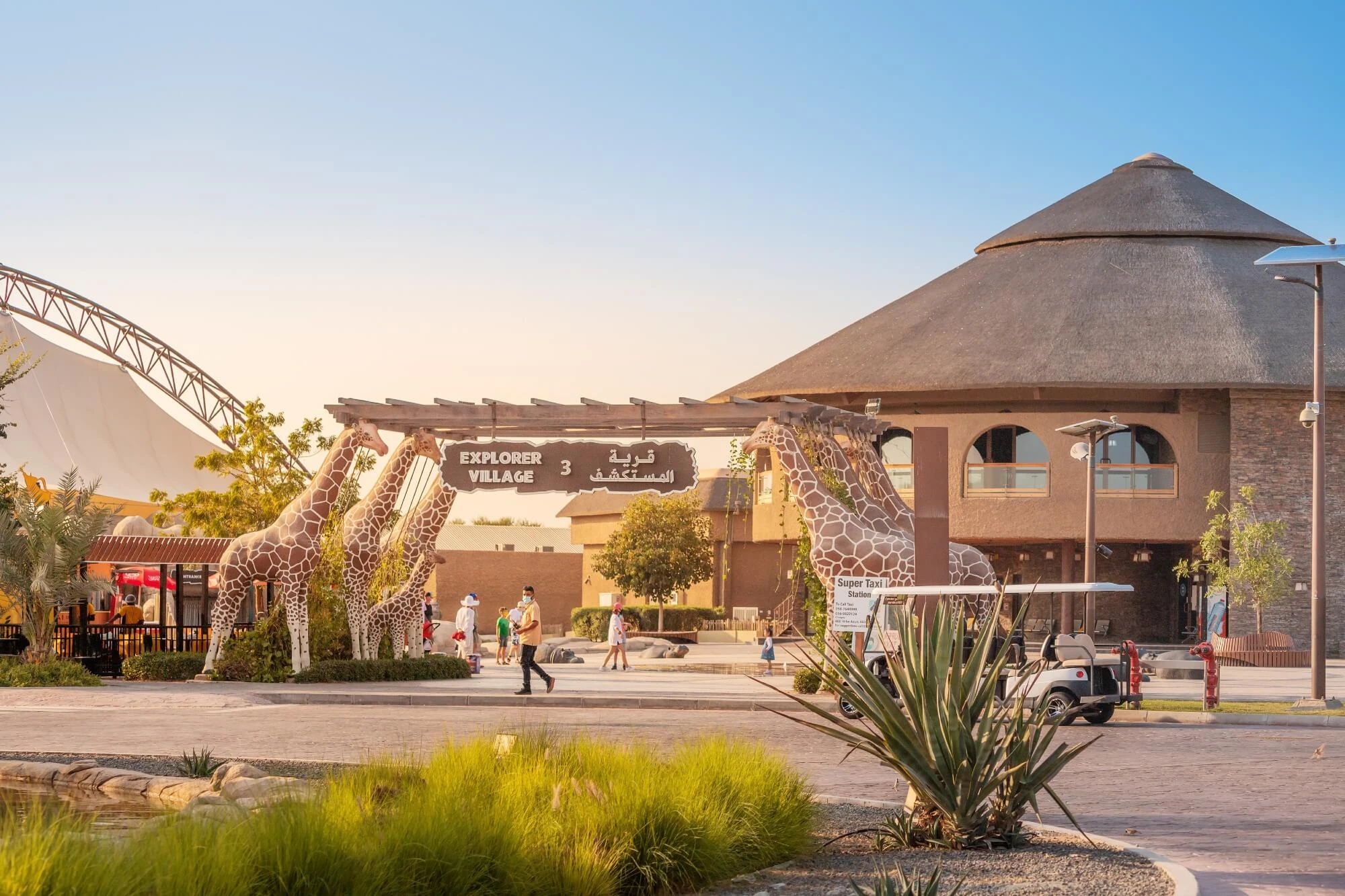 Parc Safari de Dubaï : Guide complet pour les touristes et les locaux