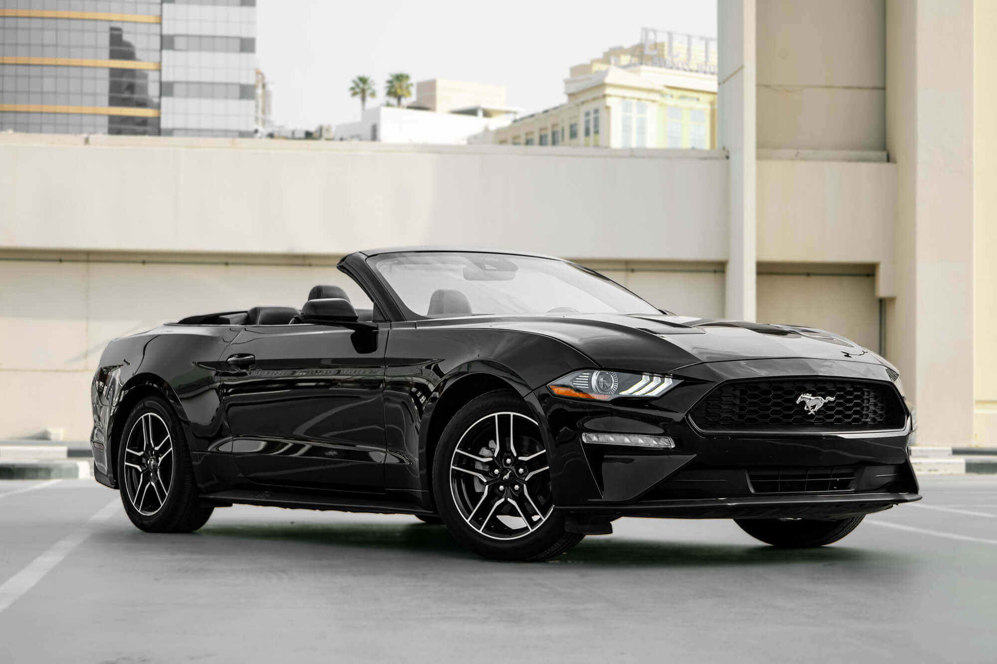 Ford Mustang Convertible Black D Octane Luxury Car Rental Dubai