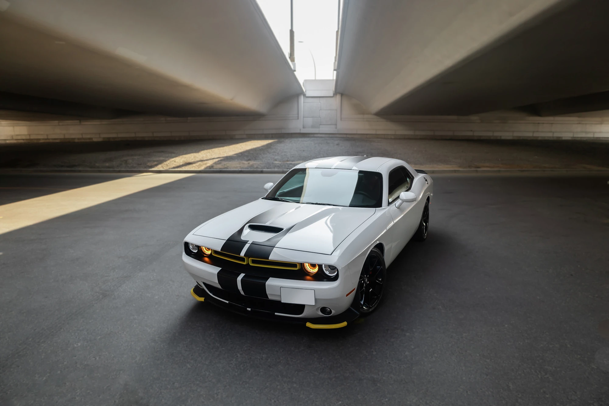 Dodge Challenger White & Black Dodge Challenger White & Black