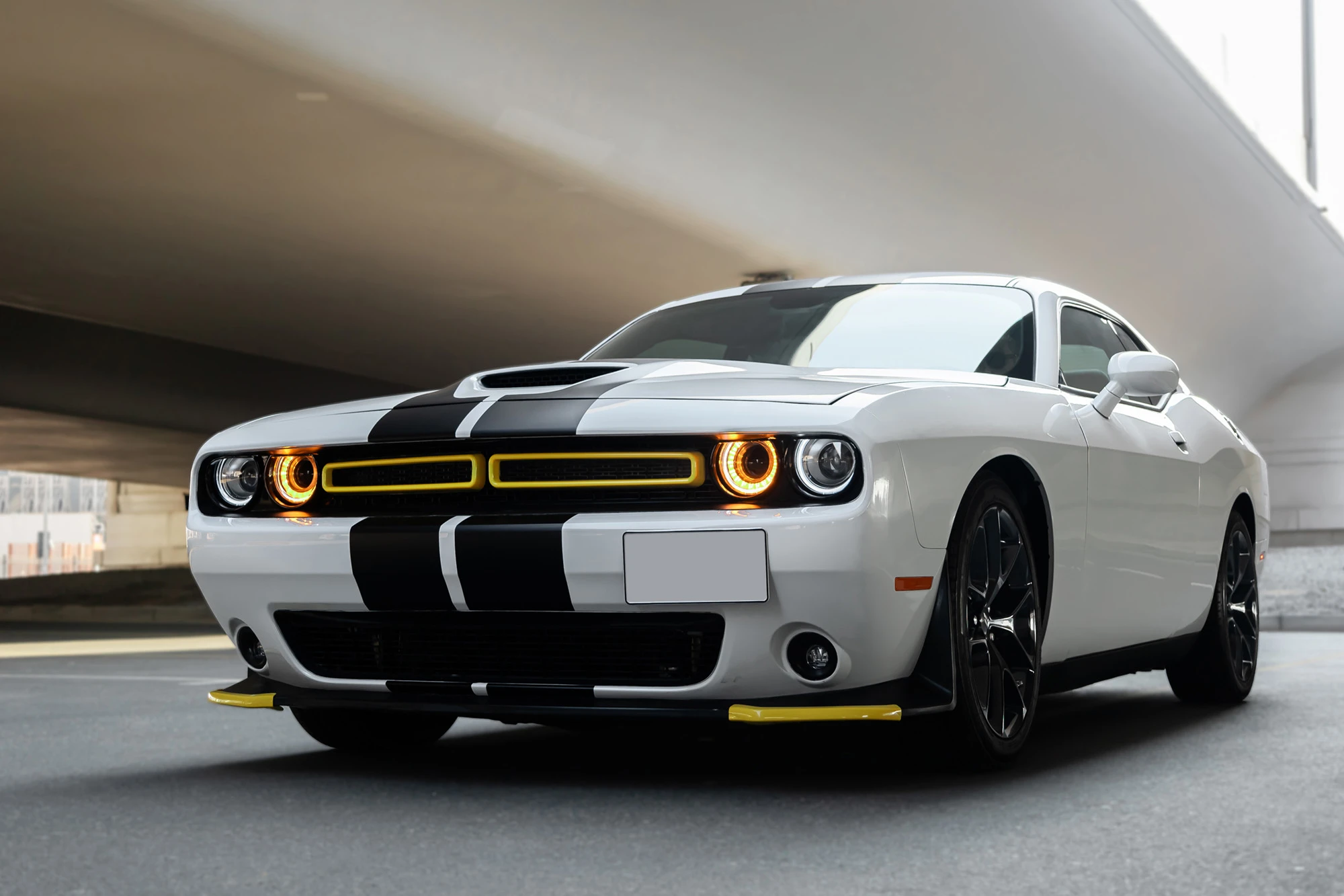 Dodge Challenger White & Black Dodge Challenger White & Black