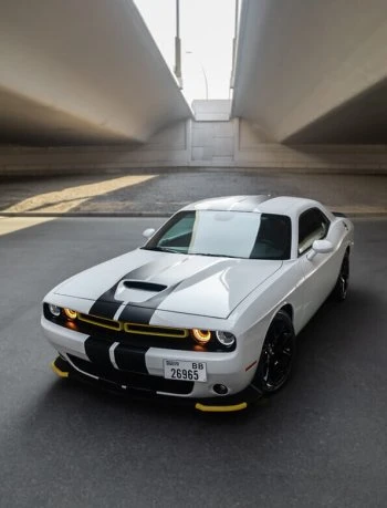 Dodge Challenger Weiß & Schwarz