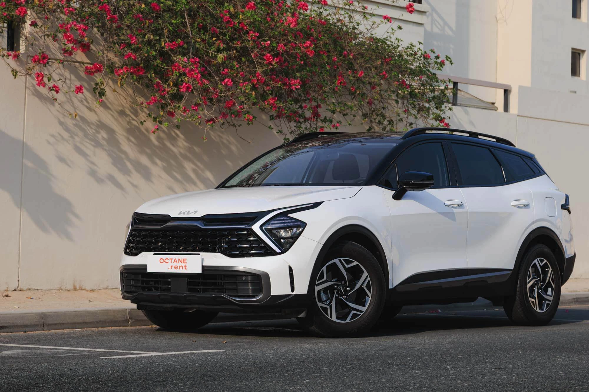 Kia Sportage New Gen белый и черный