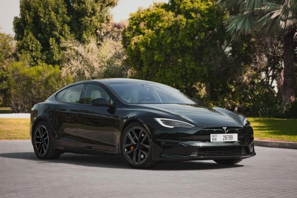 Tesla Model S Kariert Schwarz