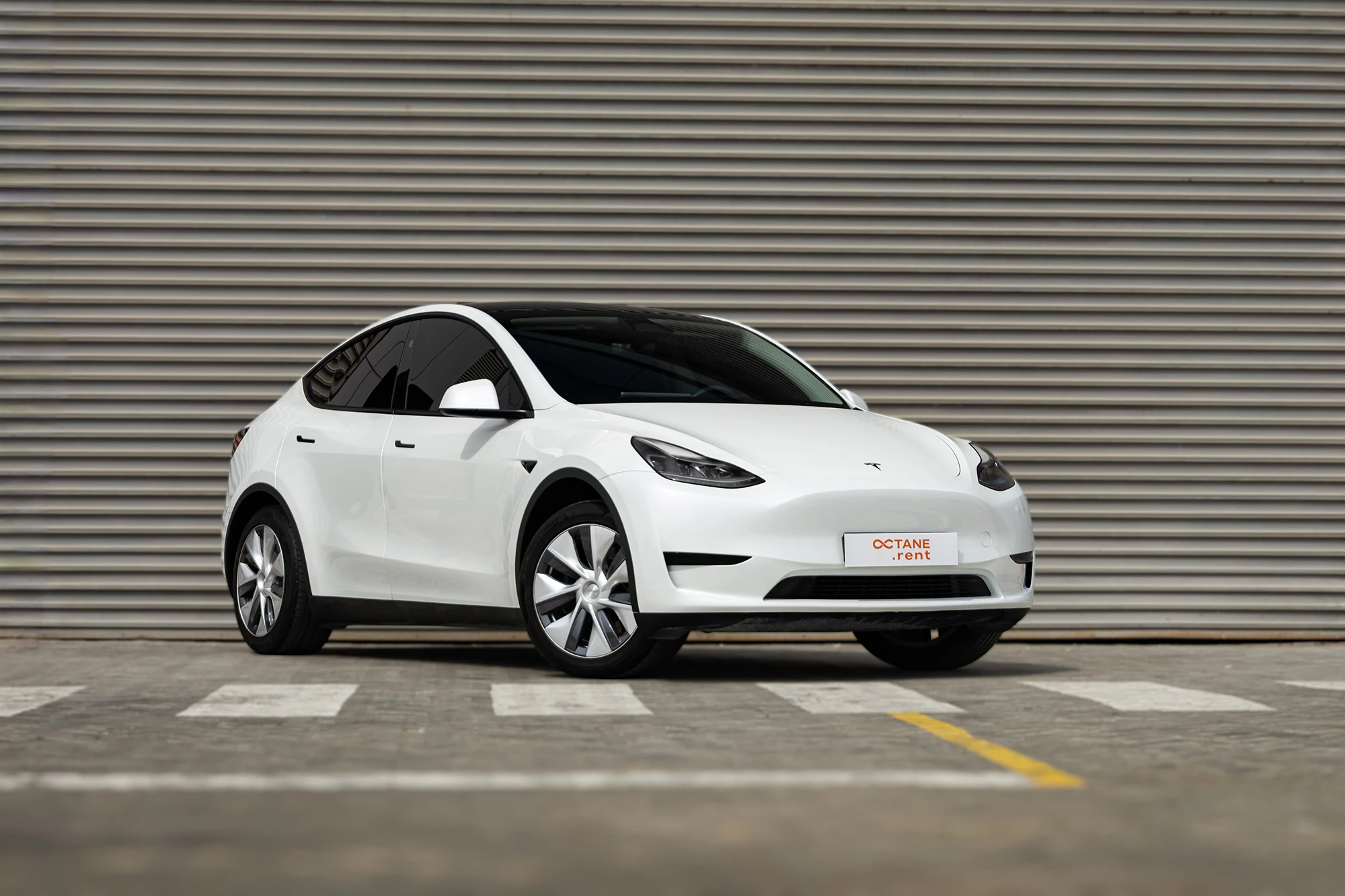 Tesla Model Y White Tesla Model Y White